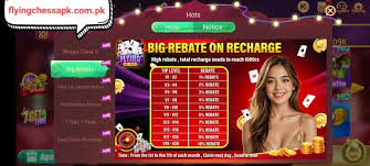 Flying Chess Online Game Board Pakistan